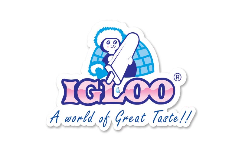 About Igloo
